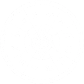 Rotating Background Chakra